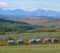 36-gallery-hay-bales-and-mountains