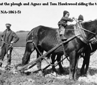 78-na-1061-5-a-hawkwood-at-plough-1921